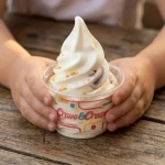 Cheese Cake Ice Cream
